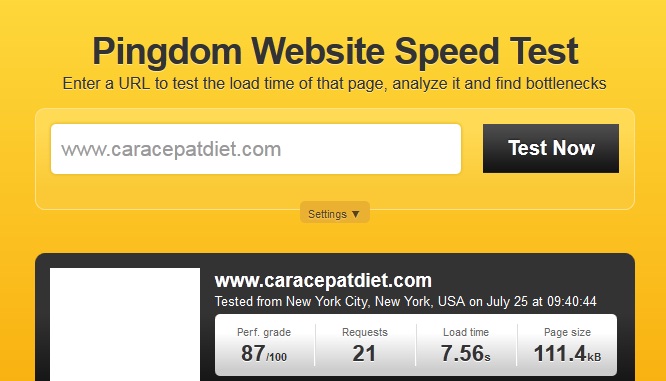 cara mengukur kecepatan website